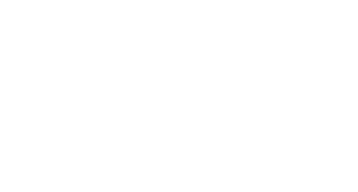 Mustang Helicopters Inc. Brand Logo